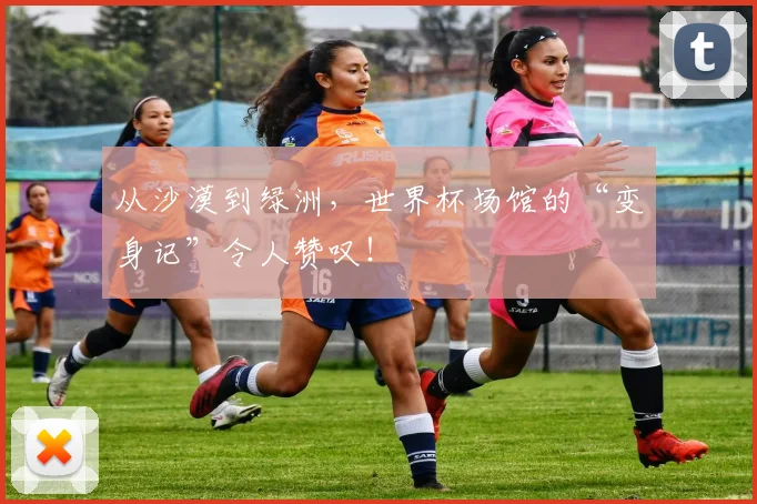 从沙漠到绿洲，世界杯场馆的“变身记”令人赞叹！