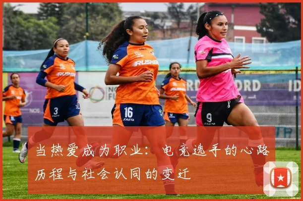 当热爱成为职业：电竞选手的心路历程与社会认同的变迁