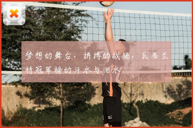 梦想的舞台，拼搏的战场，瓦洛兰特冠军榜的汗水与泪水