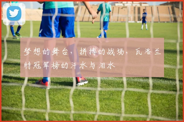 梦想的舞台，拼搏的战场，瓦洛兰特冠军榜的汗水与泪水