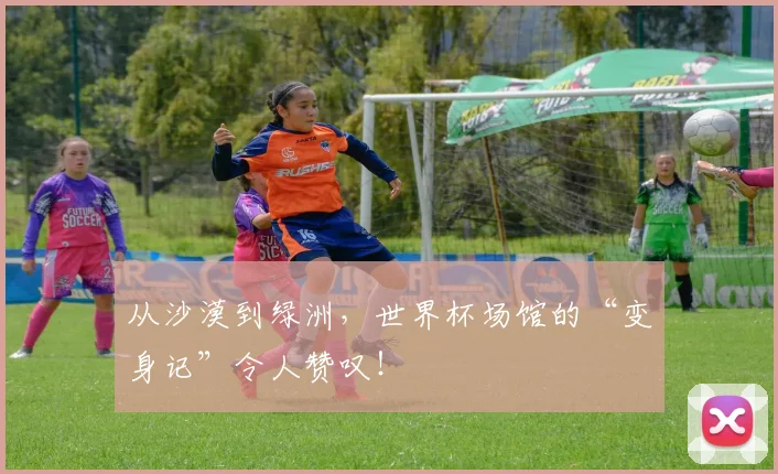 从沙漠到绿洲，世界杯场馆的“变身记”令人赞叹！