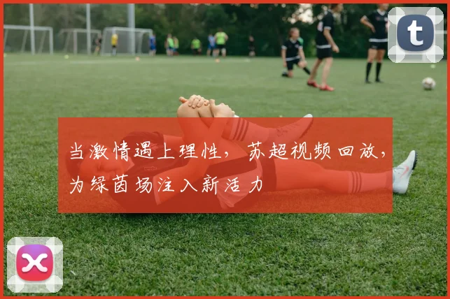 当激情遇上理性，苏超视频回放，为绿茵场注入新活力